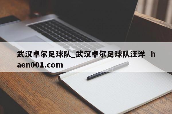 武汉卓尔足球队_武汉卓尔足球队汪洋  haen001.com